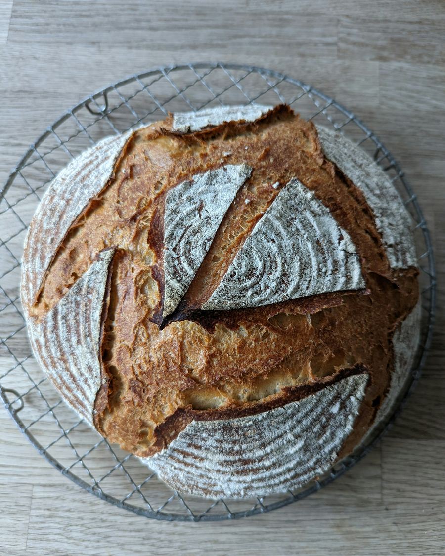 A scored sourdough loaf cooling on a wire rack